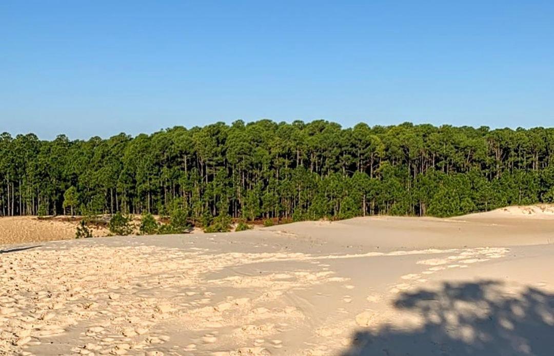 Вилла Quinta Do Mocambique Флорианополис Экстерьер фото